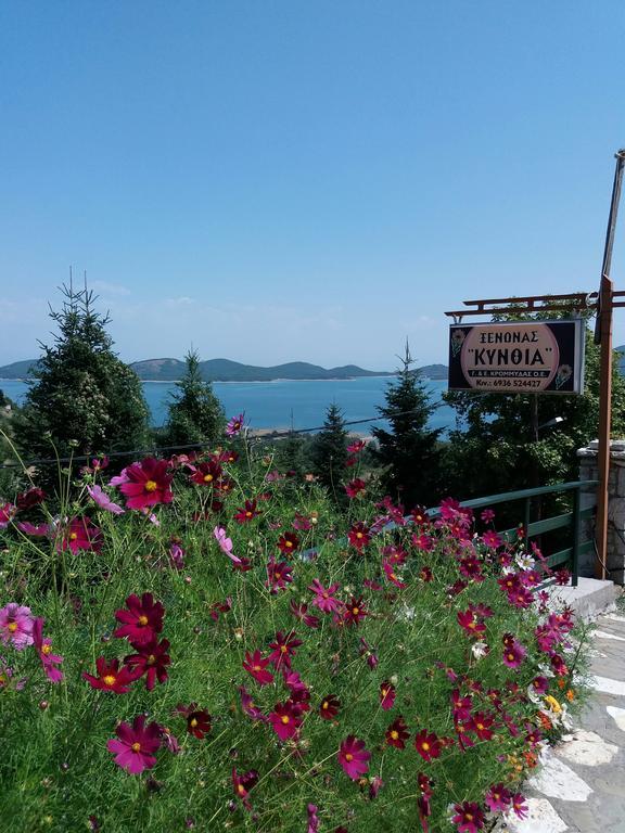 Kynthia Guesthouse Неохорион Экстерьер фото