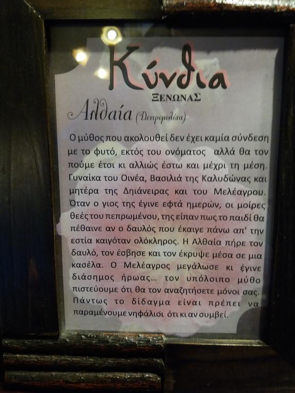 Kynthia Guesthouse Неохорион Экстерьер фото